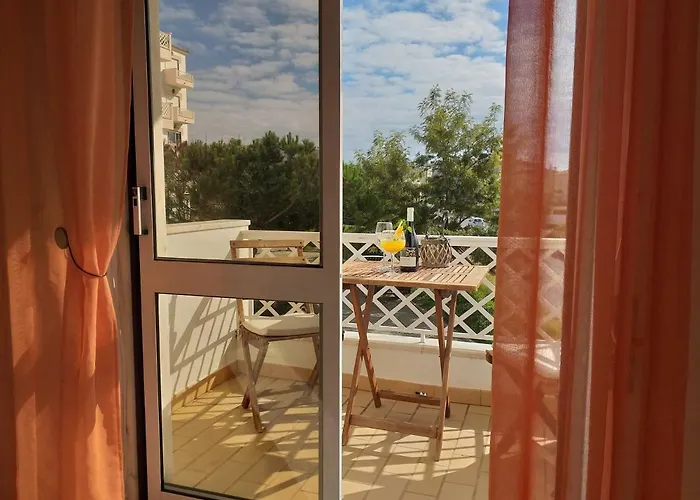 Pretty Sunny Guest 라고스